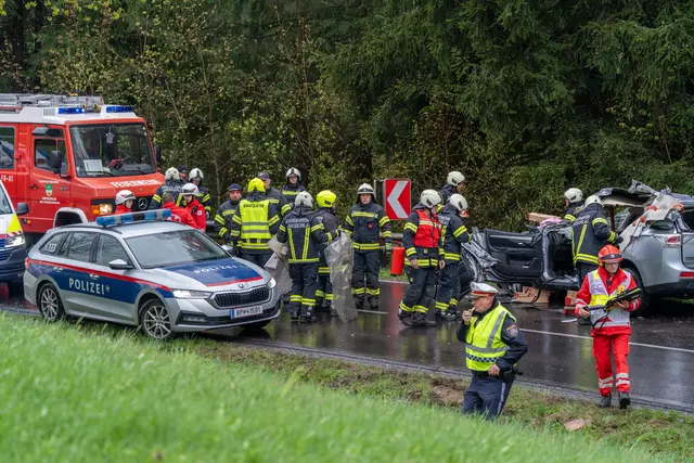 Foto: TEAM FOTOKERSCHI / MARTIN SCHARINGER