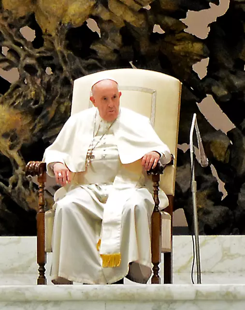 Ein Foto, welches ich von der Papstaudienz 2021 gemacht habe .