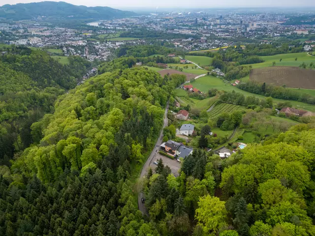 Foto: TEAM FOTOKERSCHI / MARTIN SCHARINGER