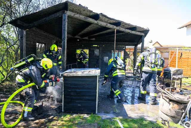 Foto: TEAM FOTOKERSCHI / WERNER KERSCHBAUMMAYR