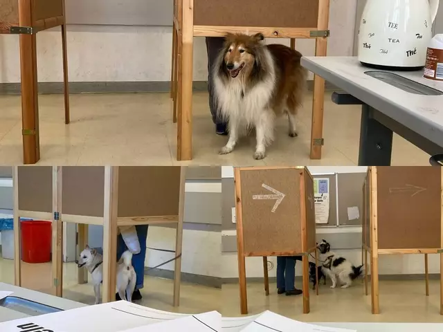 Hunde als Begleitung im Wahllokal.  | Foto: zvg.