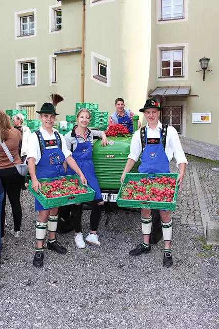 Michael Norz, Selina Schindl, Walter Schindl und Peter Norz sind stolz auf ihre Radieschen.