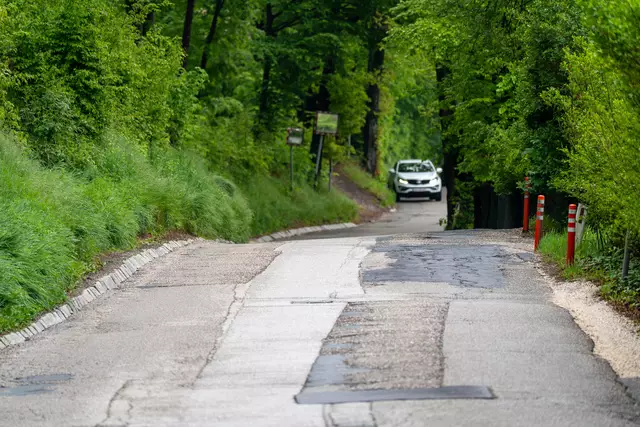 Foto: TEAM FOTOKERSCHI / MARTIN SCHARINGER