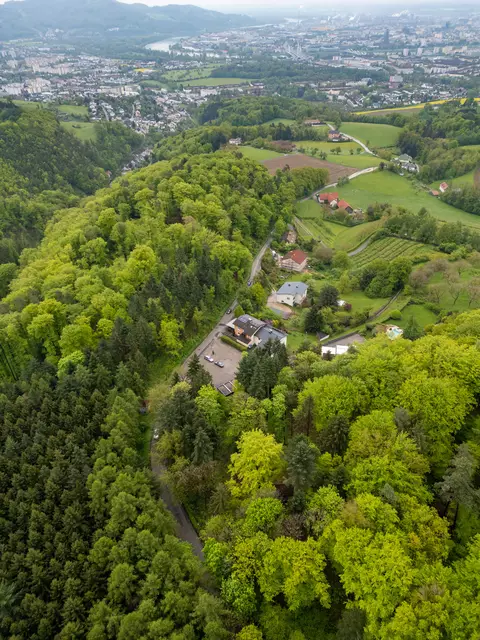 Foto: TEAM FOTOKERSCHI / MARTIN SCHARINGER