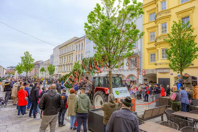 Foto: WMT/ Rene Hauser