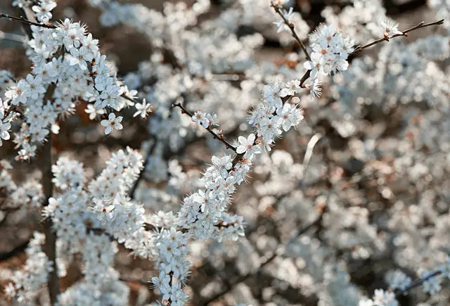 Foto: unsplash