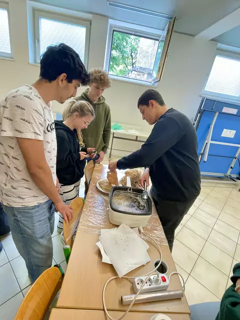 Foto: (c) Bundesgymnasium Babenbergerring