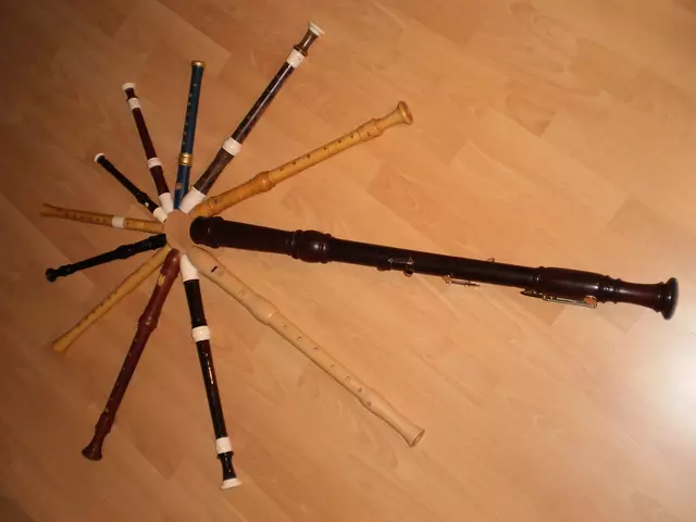 Einige Flöten von Elisabeth Jungmayer-Kögler. Die Bandbreite bei den Flöten reicht dabei von der bunten Kinderflöte um 15,- Euro bis zu einer handgearbeiteten Flöte aus Buchsbaum, die ab 1.500,- Euro erhältlich sind. | Foto: TonTanz