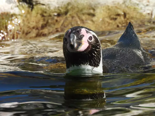 Ab und zu brauchen auch Vollzeiteltern einen Entspannungsbad | Foto: Zuzana Kobesova 2025