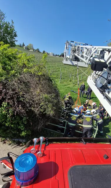 Ein Mädchen musste am Sonntag von der Feuerwehr aus einer misslichen Lage gerettet werden. | Foto: Stadt Wien | Feuerwehr