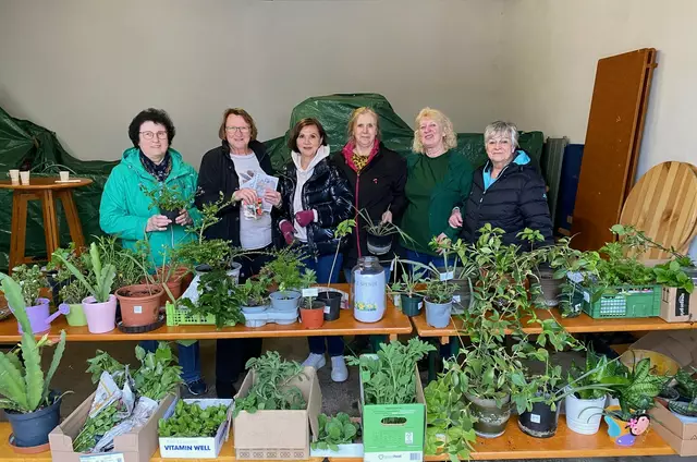 Renate Mnozil, Obfrau Christine Besser, Linda Breslmair, Renate Teuschl, Waltraud Schneeweis und Manuela Schweiger im Grünen | Foto: Dorferneuerung Sommerein