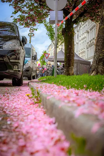 Foto: WMT/ Rene Hauser
