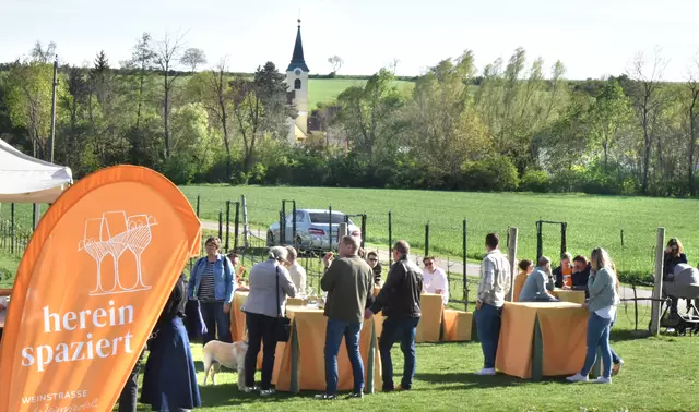 In der schönen grünen Natur. | Foto: Herbert Schleich