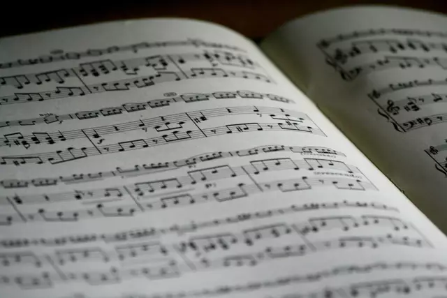 Symbolbild. Das Akkordeonensemble La Tastiera Magica, die Klasse 3b der Musikmittelschule Korneuburg sowie der Gesangsverein pro musica, verliehen mit ihren musikalischen Beiträgen dem Festakt einen stimmungsvollen Rahmen. | Foto: Pexels