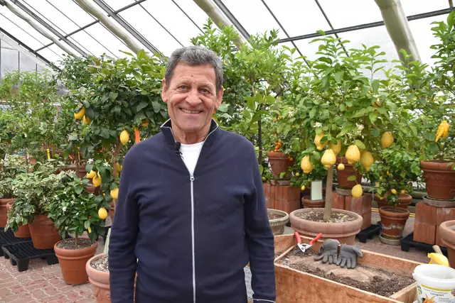 Zwischen Zitronen: Franz Posch beim Besuch im Zitrusgarten Faak – ein Stück mediterranes Flair mitten in Kärnten. | Foto: MeinBezirk.at