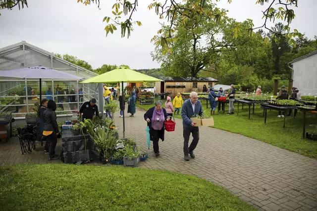 Trotz wechselhaftem Aprilwetter nutzten zahlreiche Besucher:innen das Jungpflanzen-Angebot beim Pflanzenmarkt am Chance B Bio-Bauernhof in Labuch. | Foto: Chance B