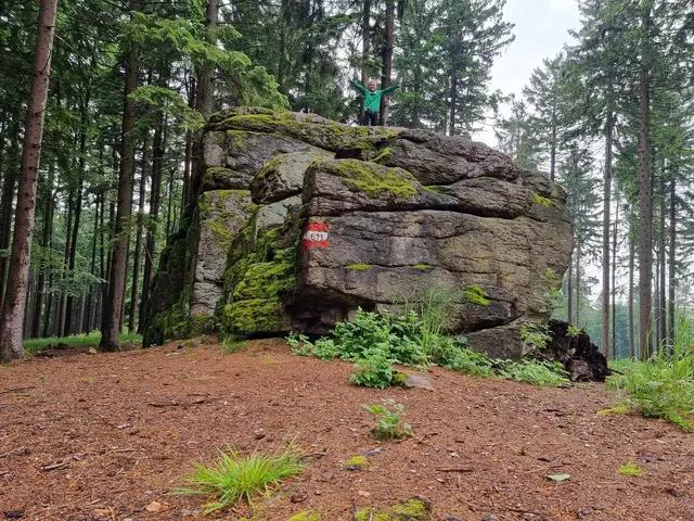 Der Predigtstuhl ist mit 718 Metern die höchste Erhebung im Bezirk Waidhofen/Thaya. | Foto: privat