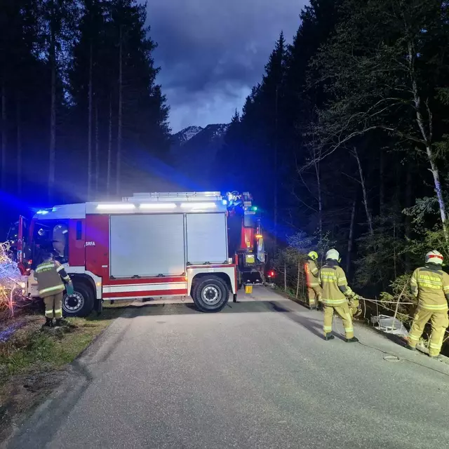 Glücklicherweise konnte sich die Unfallfahrerin eigenständig befreien und über die Böschung auf die Straße klettern. | Foto: Freiwillige Feuerwehr Neukirchen am Großvenediger