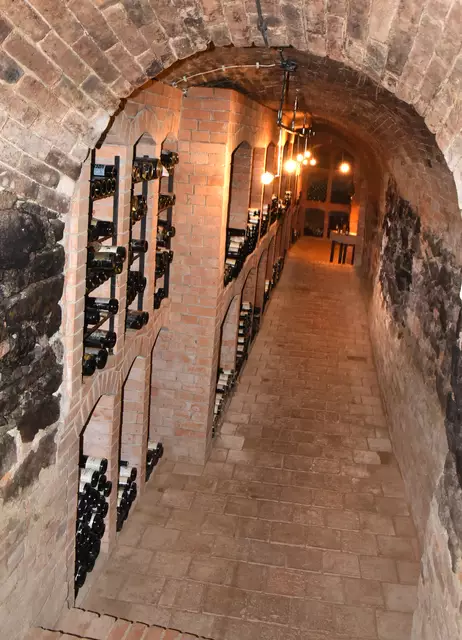 Platt Leit`n Kellergasse Tradition bei Winzerei Familie Fidesser
 | Foto: Herbert Schleich