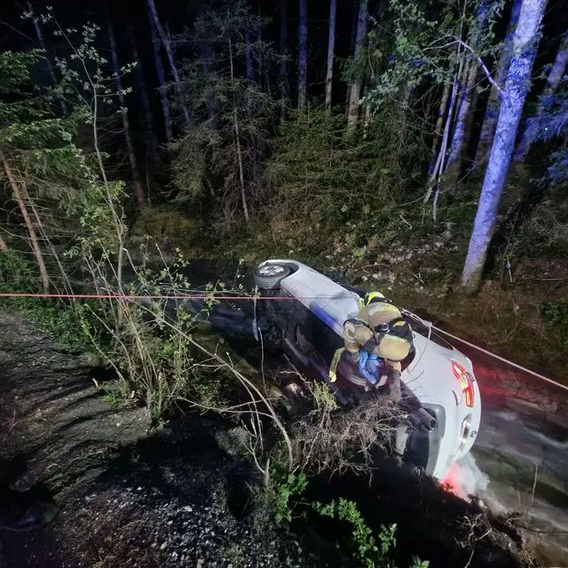 Beim Ausweichen eines Wildtieres geriet eine Einheimische Fahrzeuglenkerin Sonntagabend auf das Straßenbankett, kollidierte mit einem Baum und stürzte anschließend mit ihrem Pkw in ein Bachbett. | Foto: Freiwillige Feuerwehr Neukirchen am Großvenediger