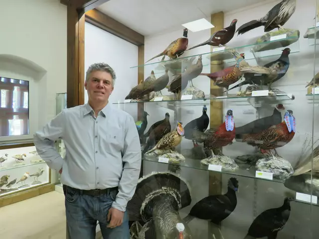 Vanni Bianci zeigt, wie die Tiere, die in Vannis Vogelwelt in Oberdrauburg zu sehen sind, präpariert werden. | Foto: Vannis Vogelwelt