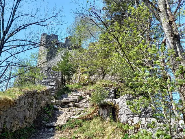 Ruine Wartenfels  | Foto: H.Bachinger 