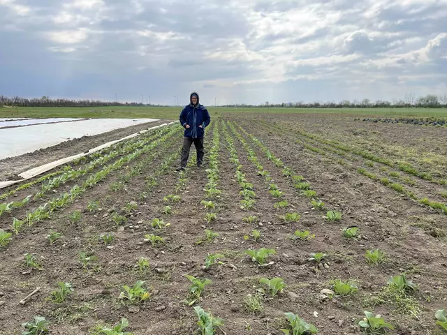 Am MUT-Feld in Obersiebenbrunn geht es in die fünfte Saison. | Foto: Verein MUT