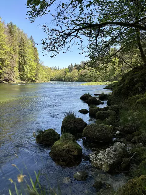 Foto: MeinBezirk/Kirschner