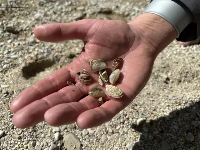 Foto: MeinBezirk/Kirschner