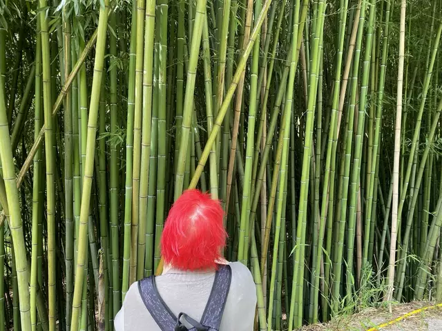 Kulturfahrt zu "Kunst der Meister": 3. Station: Park und Villa Rafut: Überwältigende tropische Vegetation! 