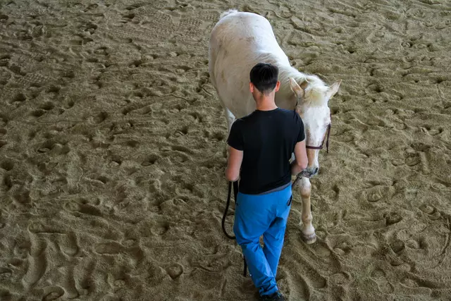 Einer spiegelt den anderen | Foto:  Magdalena Biegelbauer