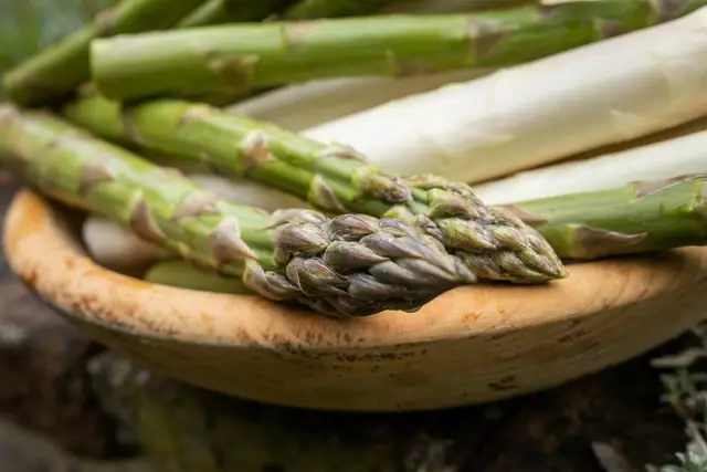Steirischer Spargel hat Hochsaison und wird auf zahlreichen Feldern im Bundesland geerntet.  | Foto: LK Steiermark/Danner