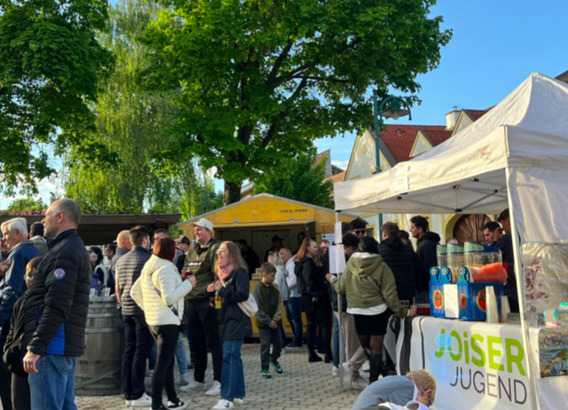 Die Joiser Jugend war heuer auch erstmals dabei | Foto: Jois Info