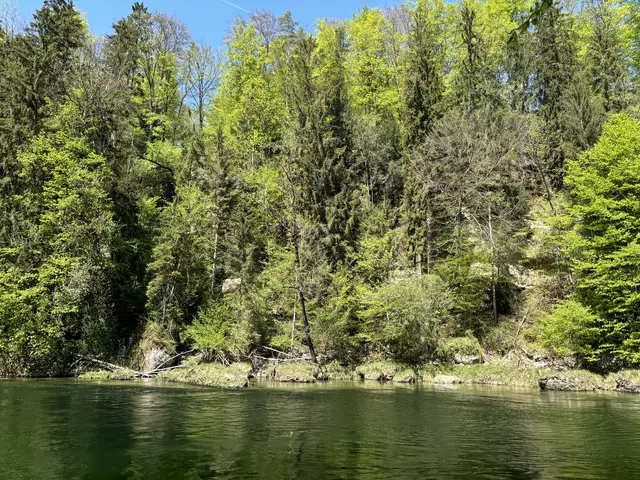 Foto: MeinBezirk/Kirschner