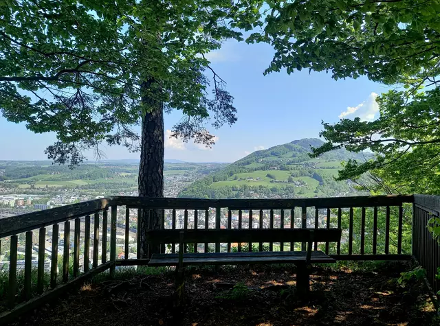 Aussicht auf den Heuberg  | Foto: H.Bachinger 