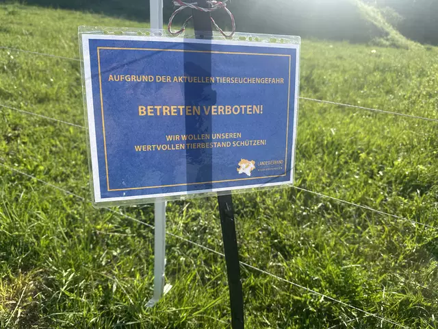 Foto: Madeleine Gluhak/MeinBezirk