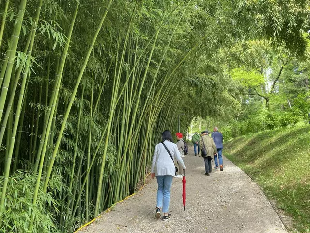 Kulturfahrt zu "Kunst der Meister": 3. Station: Park und Villa Rafut: Überwältigende tropische Vegetation!!!