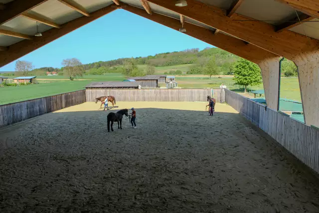 Am neuen Gelände der Family Ranch in Frankenau | Foto:  Magdalena Biegelbauer