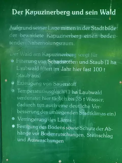 Foto: H.Bachinger 