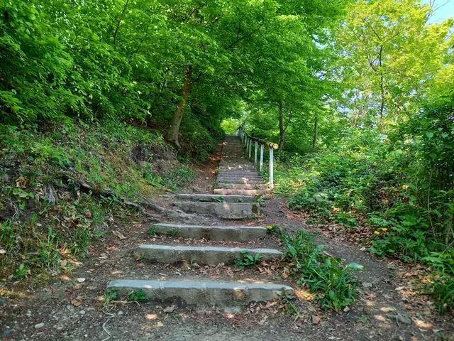 Foto: H.Bachinger 