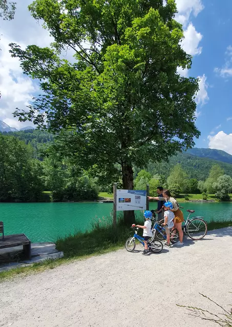 Über 20 Infotafeln erklären Details über Rosskastanie, Weißdorn, Vogelbeere, Birke und viele mehr. | Foto: TVB Kuchl