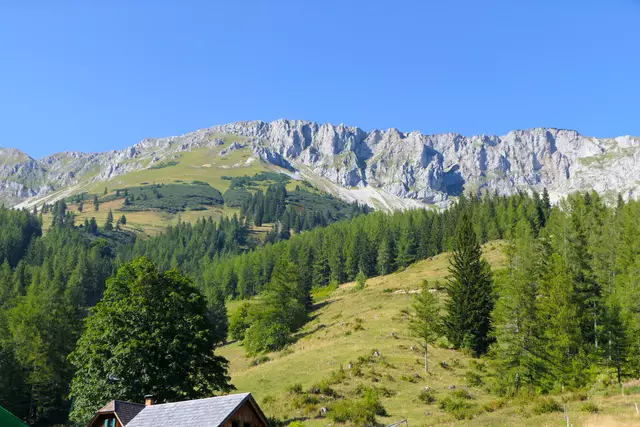 Auch im Sommer immer einen Ausflug wert: die Brunnalm und dahinter die Hohe Veitsch. | Foto: Pesendorfer