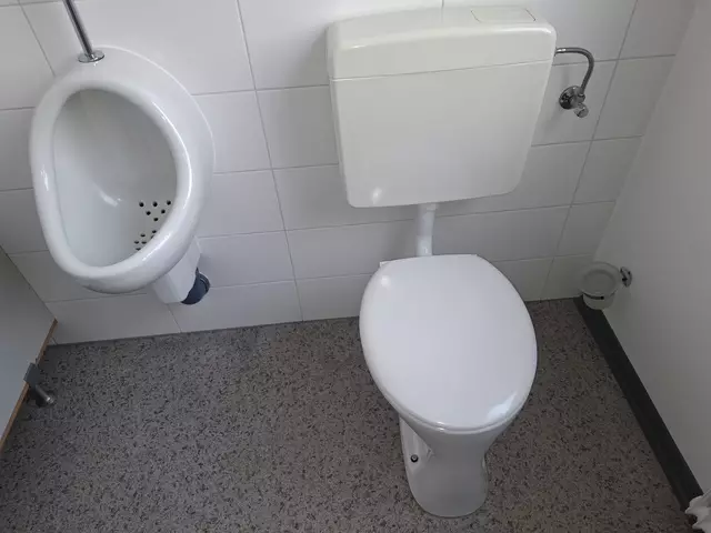„Leider verschwinden immer wieder Toilettenpapier und WC-Bürsten aus den öffentlichen WC-Anlagen im Erdgeschoss des Amtshauses Pabneukirchen", heißt es im Gemeinde-Journal. | Foto: Robert Zinterhof