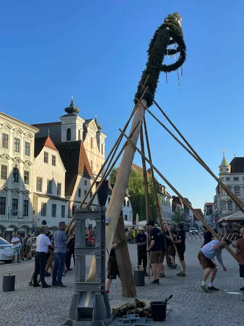 Der Maibaum auf dem Stadtplatz wurde heuer wieder in traditioneller Weise von einem Team der Steyrer Feuerwehr aufgestellt. | Foto: Magistrat Steyr-Presse
