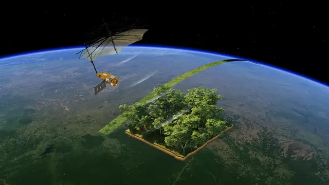Der europäische Waldsatellit „Biomass“ untersucht den Zustand der globalen Wälder. | Foto: ESA/ATG Medialab