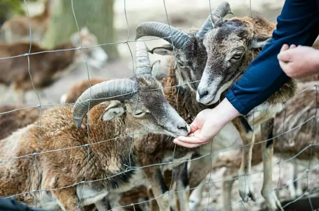 Naturpark Geras | Foto: Gemeinde Geras/BB Archiv
