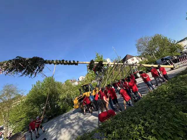 Das Maibaumaufstellen 2025 ist geglückt.