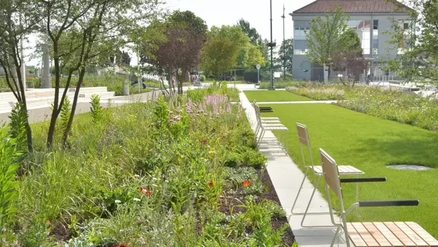 Der Nibelungenplatz in Tulln wurde mit Fördermitteln der EU umgestaltet. | Foto: Stadtgemeinde Tulln