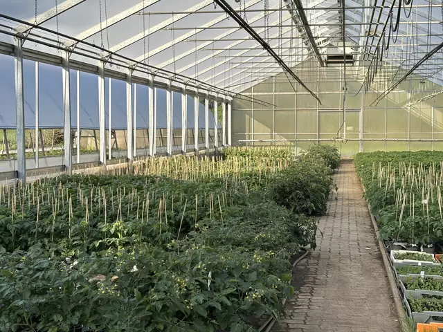 Foto: MeinBezirk