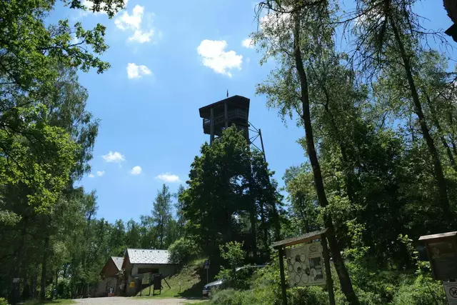 Blockheide Gmünd | Foto: MeinBezirk